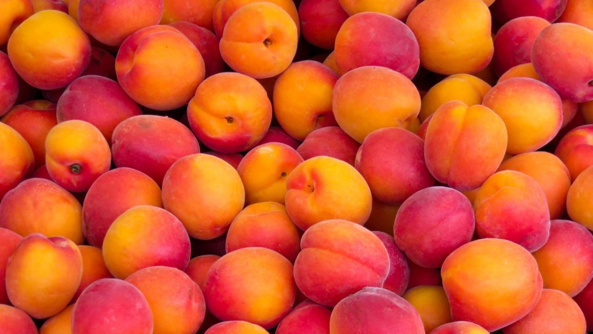 NECTARINE