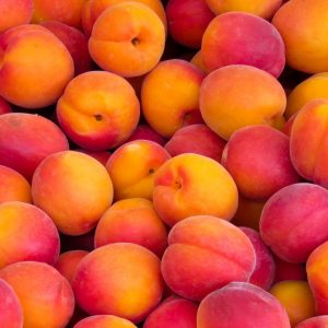 NECTARINE