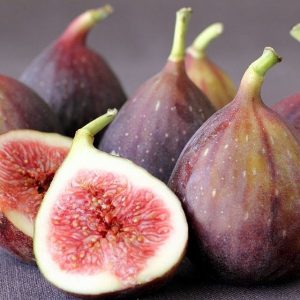 FIG
