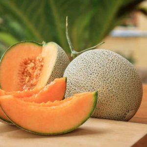 CANTALOUPE MELON