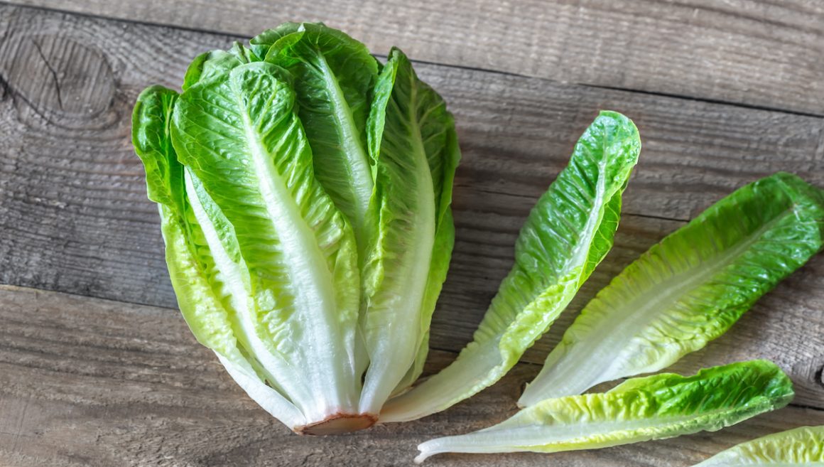 ROMAINE LETTUCE