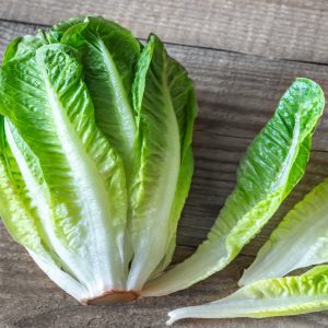 ROMAINE LETTUCE
