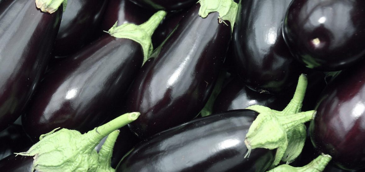 AUBERGINE