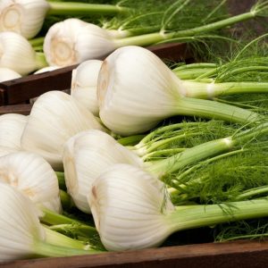 Fennel Bulb: Romanesco