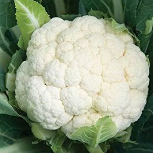 WHITE CAULIFLOWER