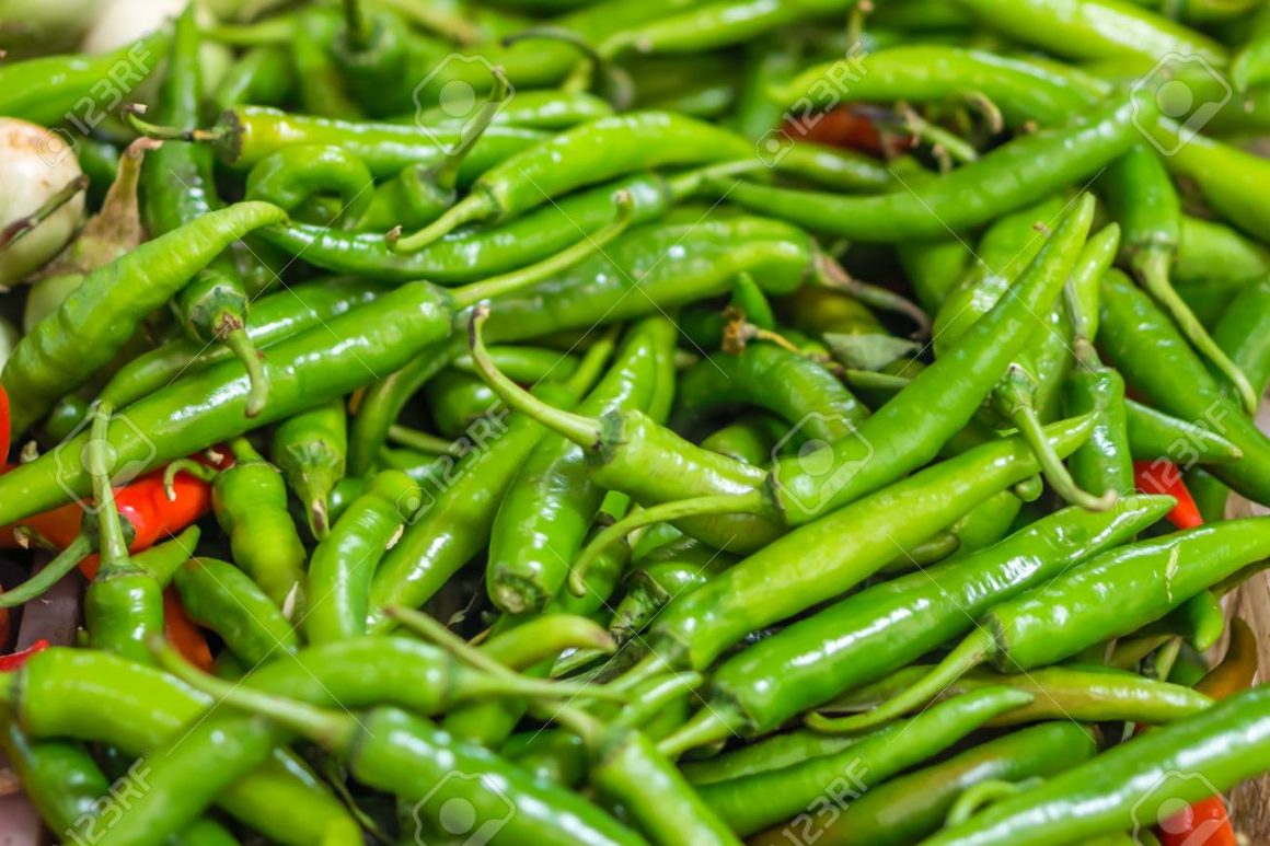 GREEN Chilli Pepper