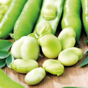Broad Beans