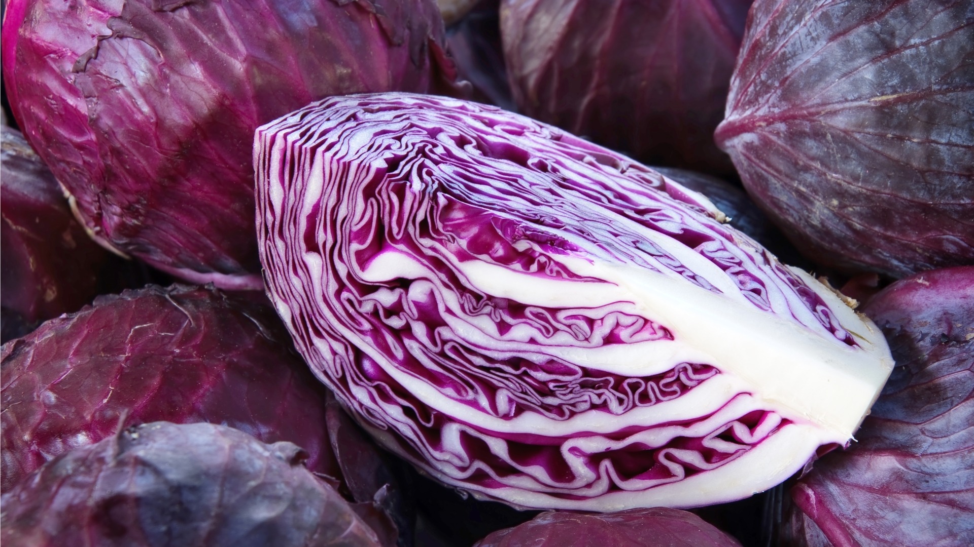 Cabbage: Red