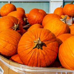 PUMPKIN