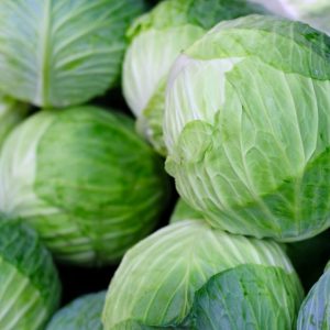 GREEN CABBAGE