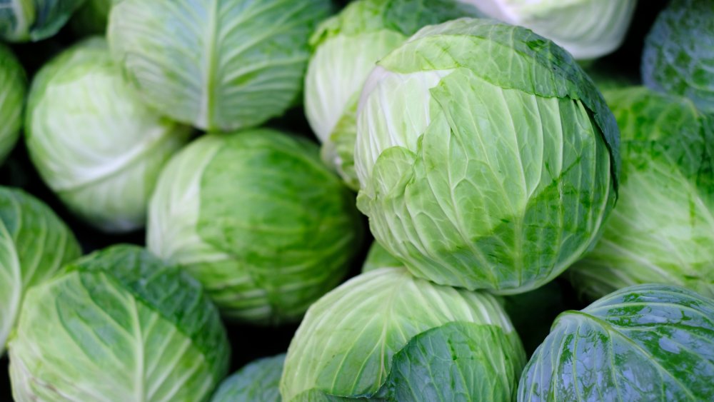 Cabbage: Green