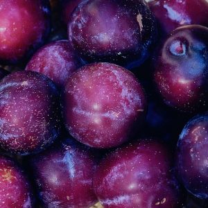 PURPLE Plum PURPLE Plum